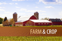 Farm & Crop